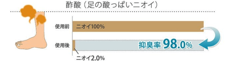 デオシーク実験