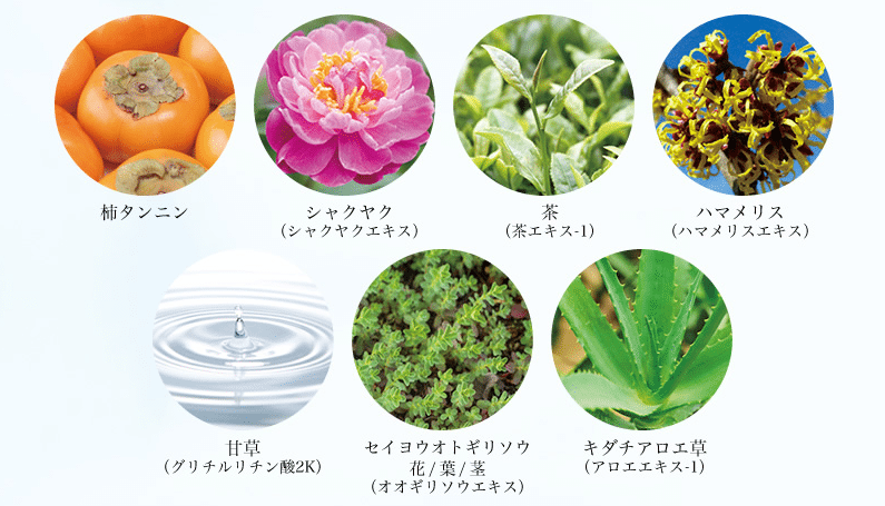 ノアンデは7種類の天然成分配合