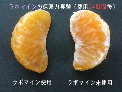 保湿力実験